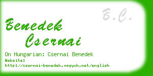 benedek csernai business card